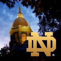 Notre Dame Twitter Avatar Example